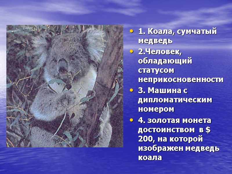 1. Коала, сумчатый медведь 2.Человек, обладающий статусом неприкосновенности 3. Машина с дипломатическим номером 4.
